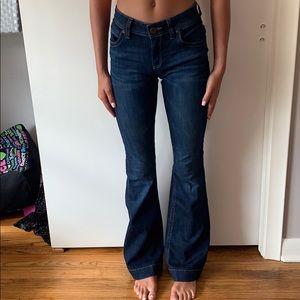 belle bottom/bootcut jeans
